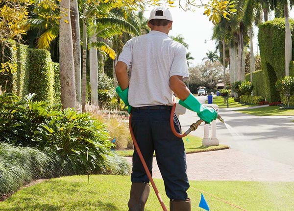 About Millington IL Pest Control